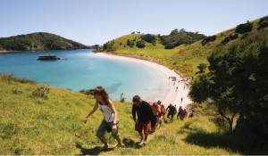 Check out the Bay of Islands