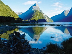Cruise the beautiful Milford Sound with Topdeck