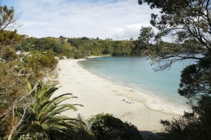 Beautiful Beaches on Waiheke Island. Photo/Tourism Auckland